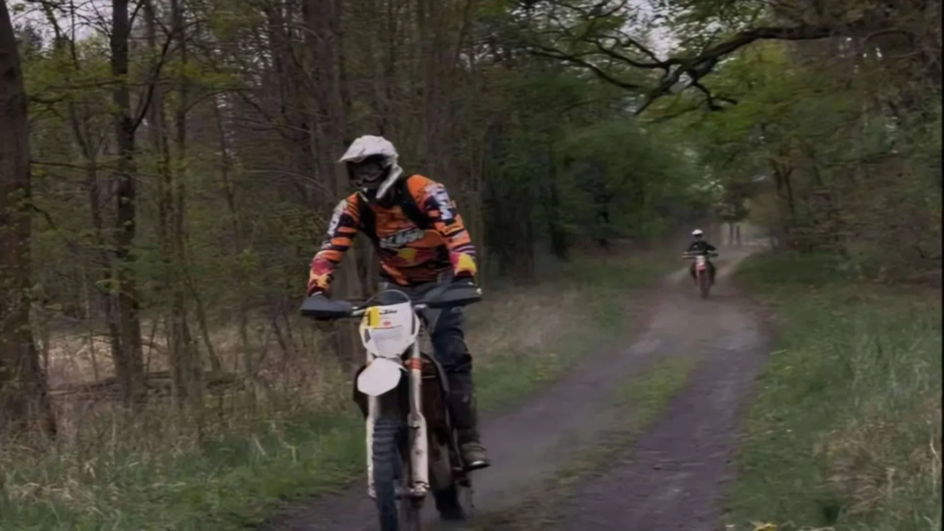 Motocykle typu cross rozjeżdżali Łęgi Mechlińskie