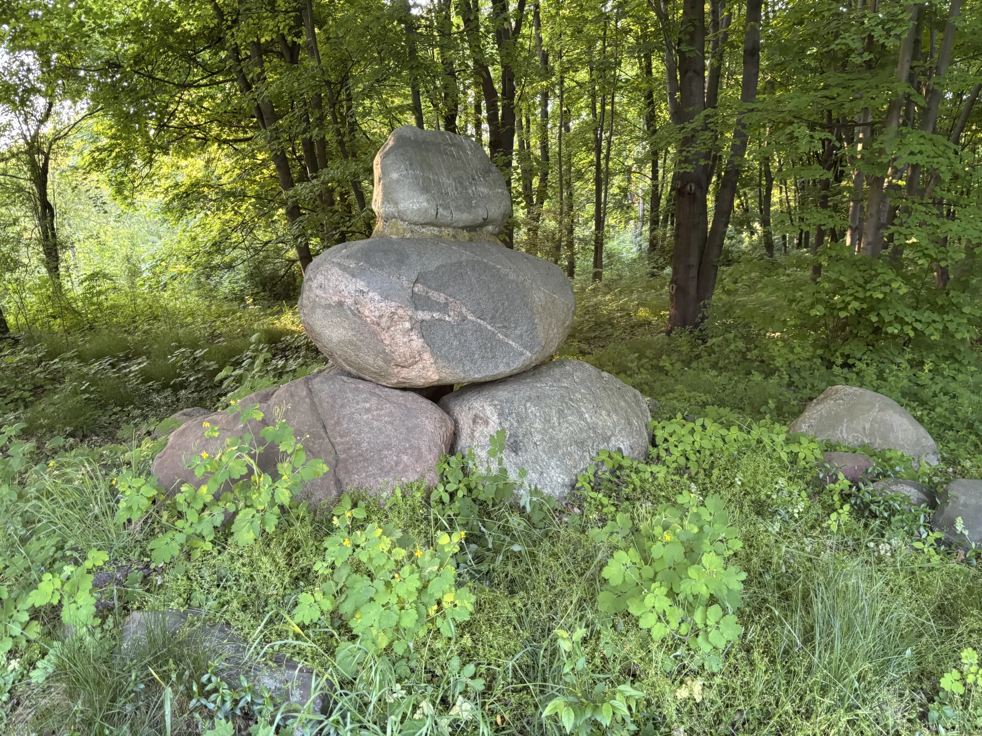 Img 0527