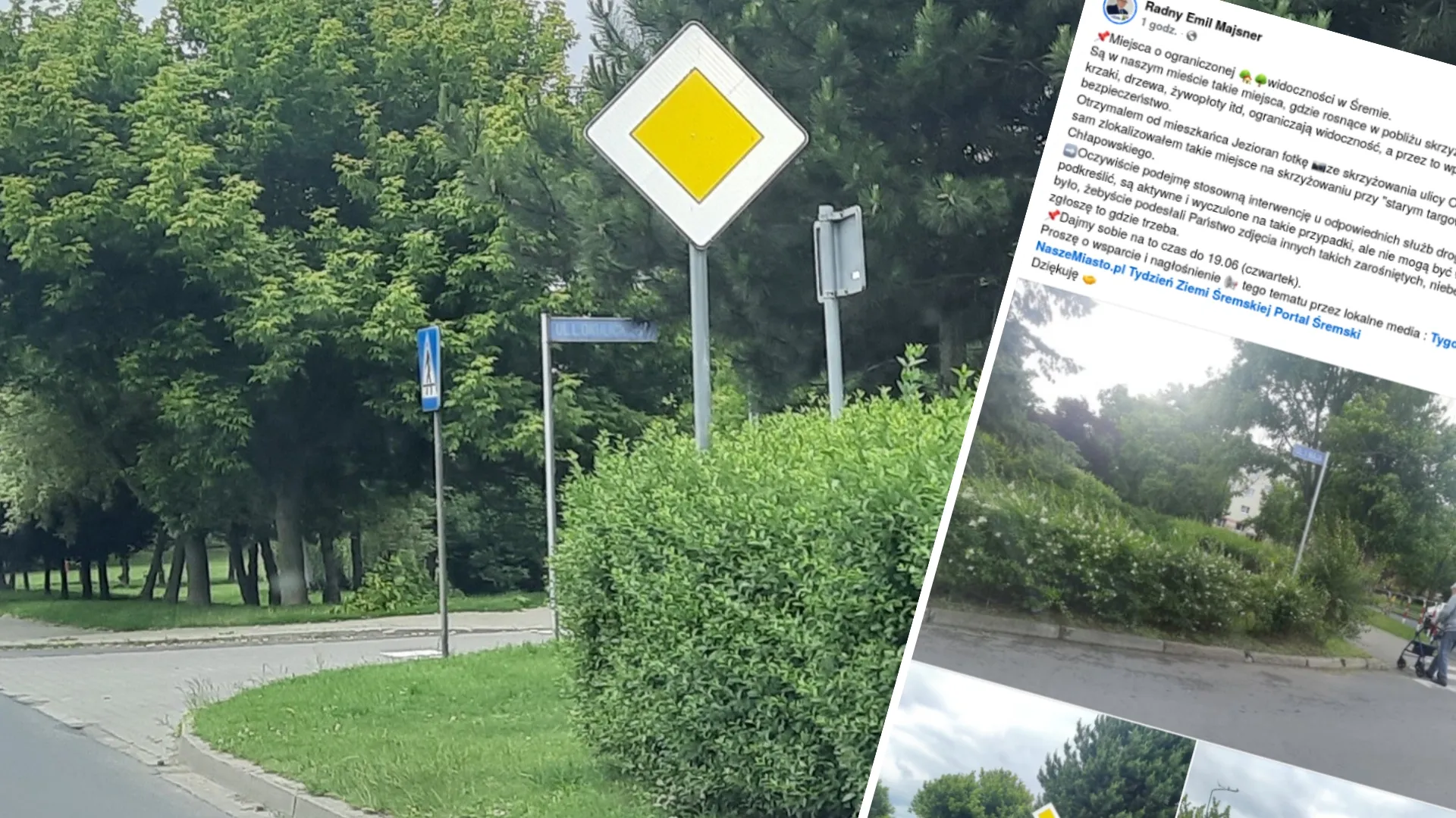 Radny Emil Majsner zwraca uwagę na zarośnięte skrzyżowania w Śremie