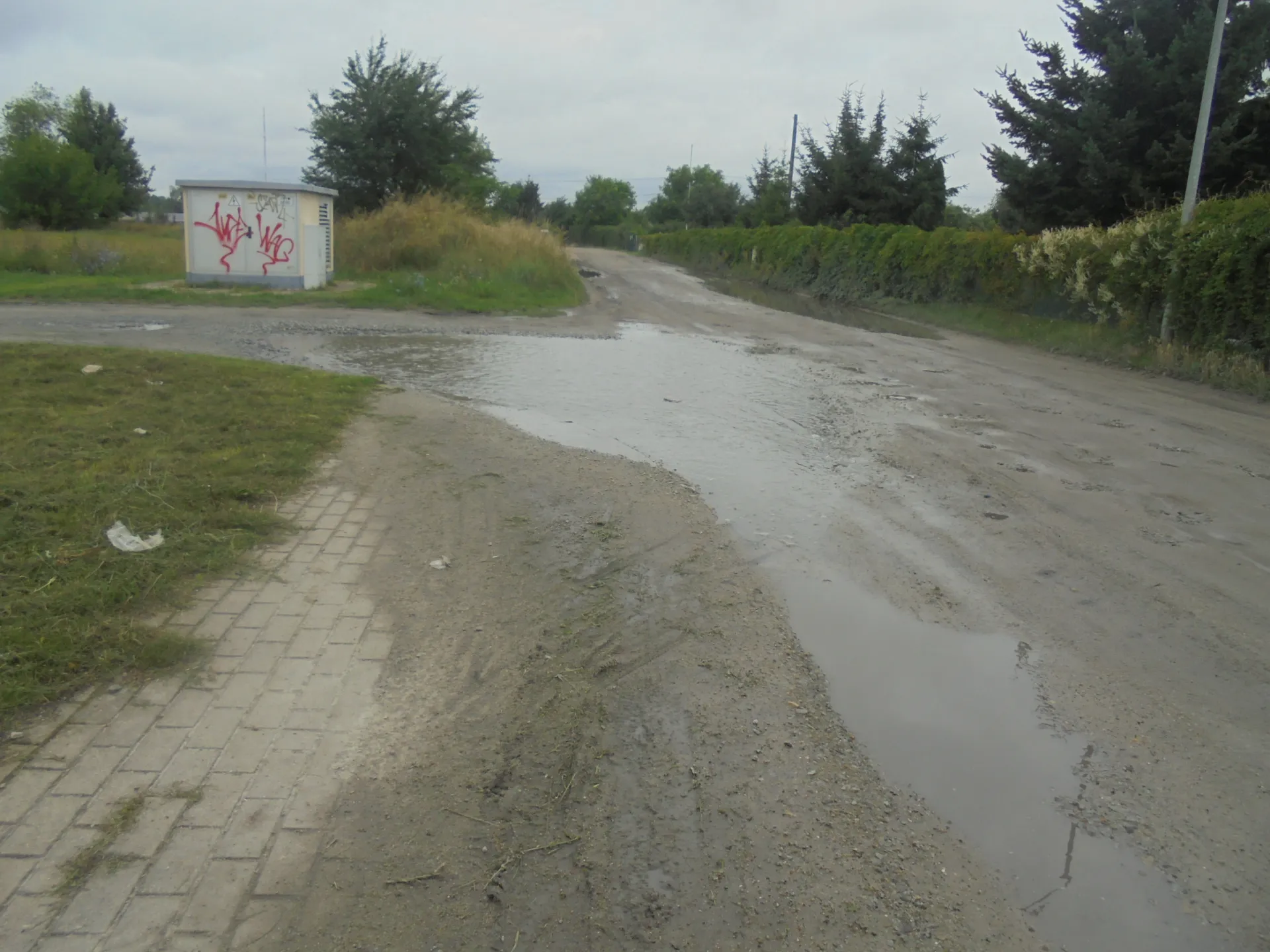 Na zdjęciu stan drogi przy ulicy Farnej w środę 23 lipca 2025 roku