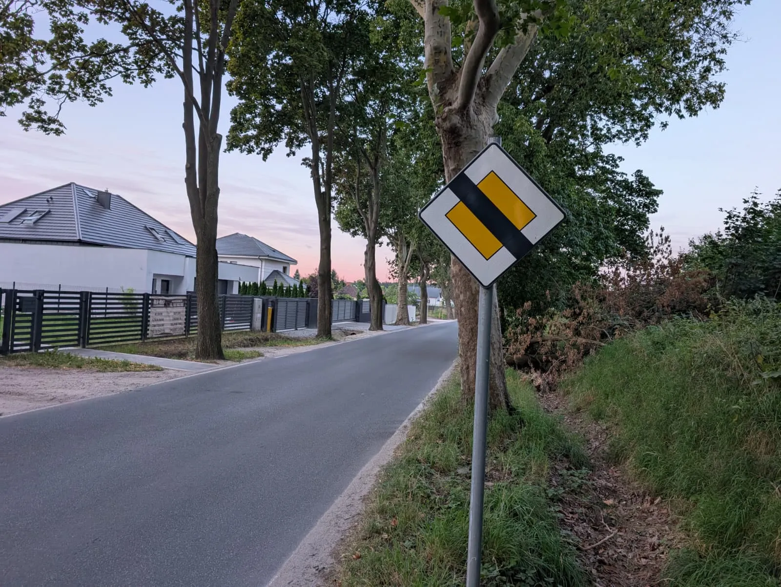 Aleja platanowa widok od strony góry