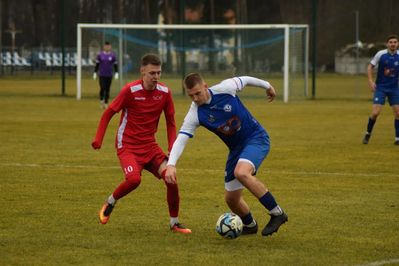 Warta korona piaski